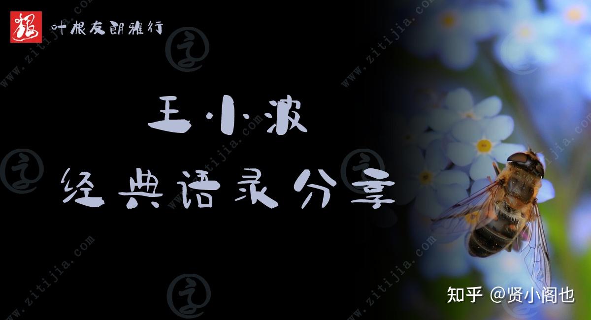 王小波 档案图片