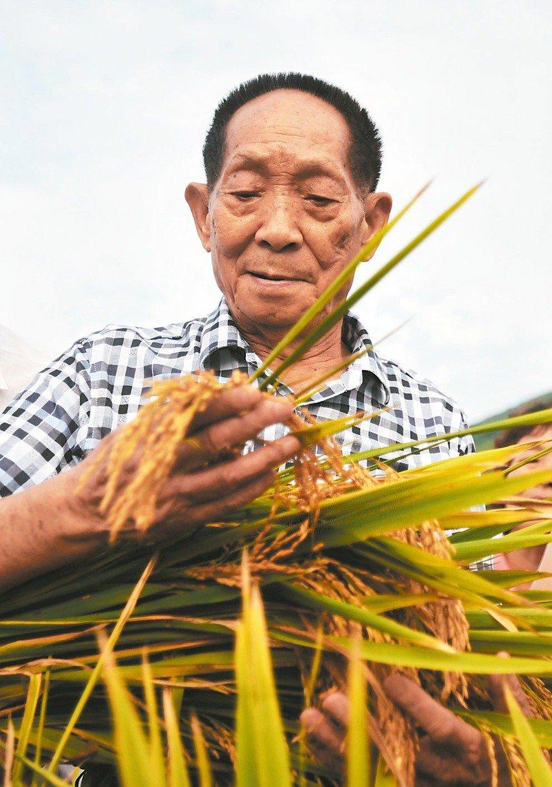 袁隆平 档案图片